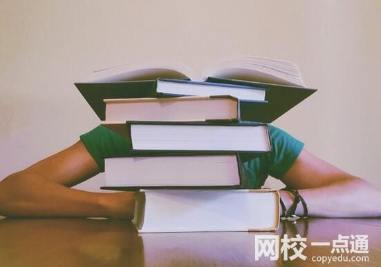 宁波大学科学技术学院怎么样(各专业最低分数线排名位次)